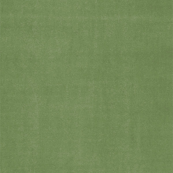 VELVET | 42 | Žalia 1