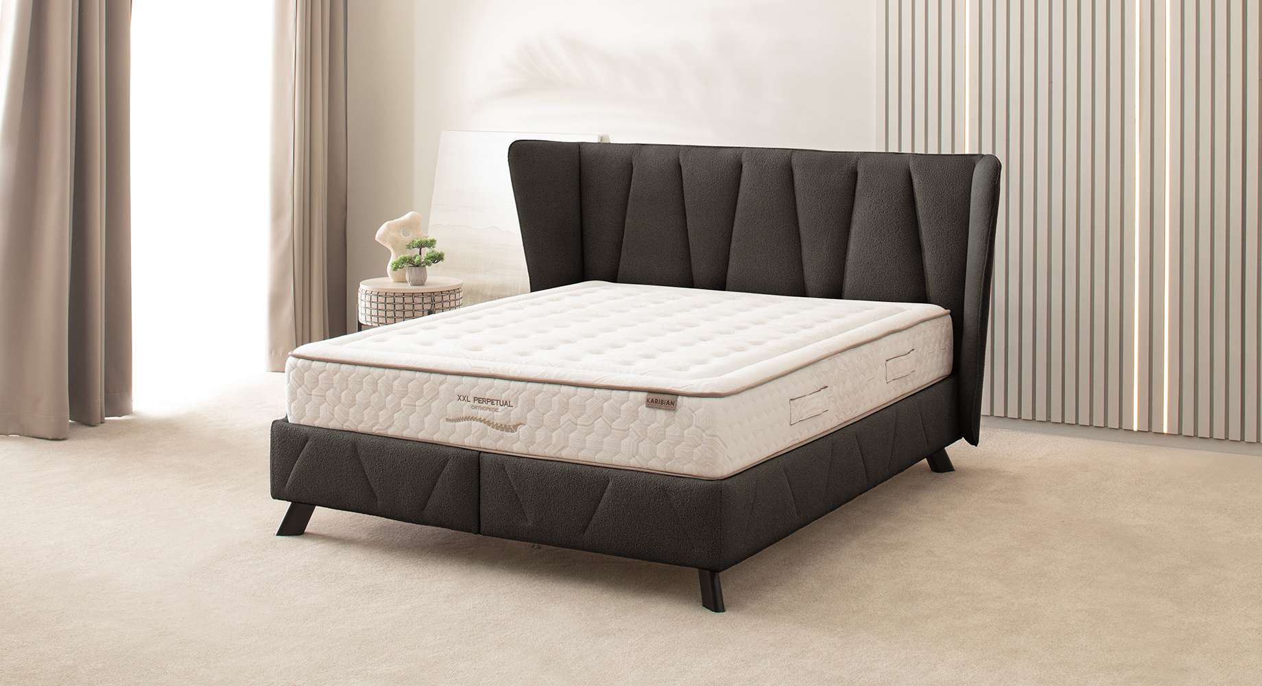 DAVINCI lova dvigulė 2080x2110 2