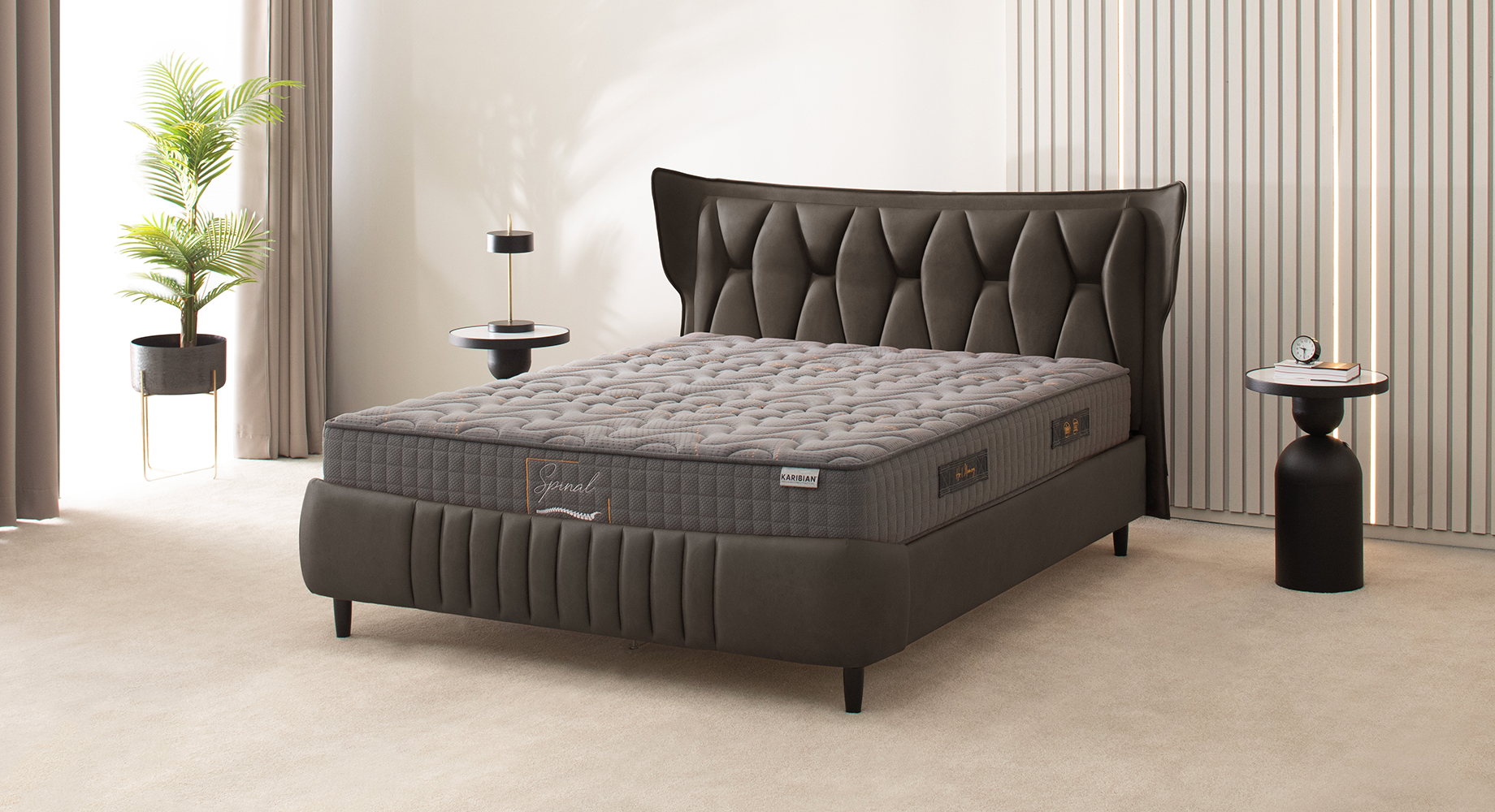 MONRO lova dvigulė 2210x1880 2