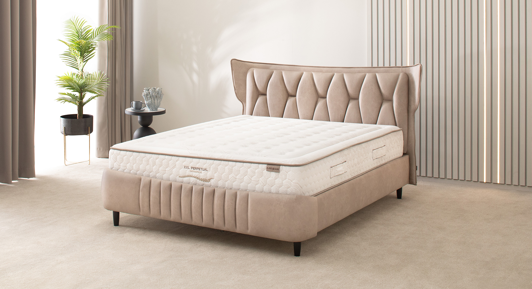 MONRO lova dvigulė 2210x1880 2