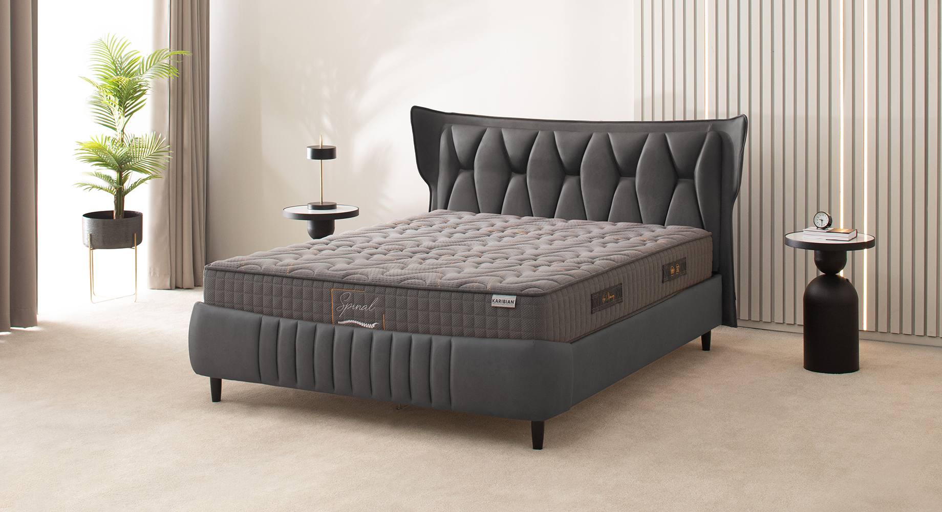 MONRO lova dvigulė 2210x1880 2