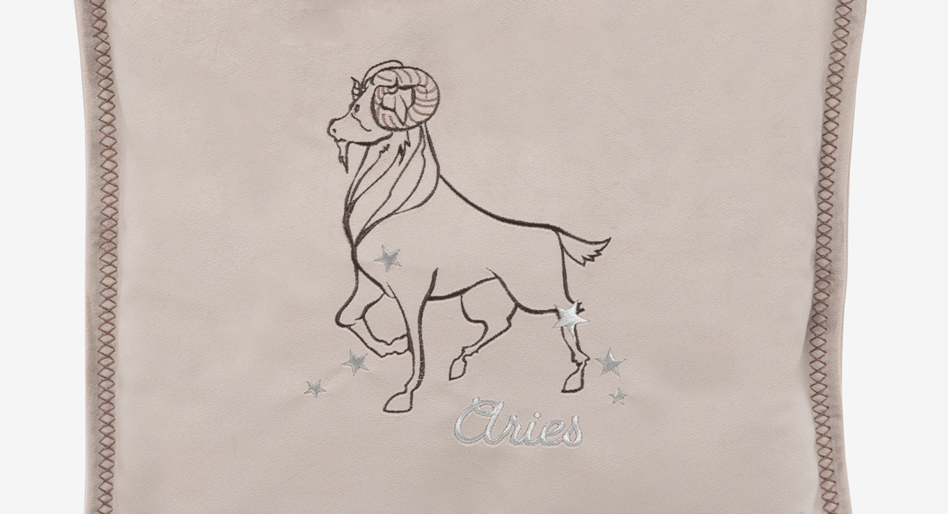 AVINAS pagalvėlė 450x450 2