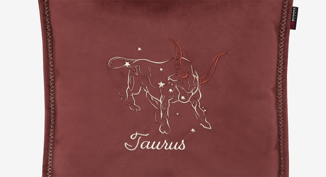 JAUTIS pagalvėlė 450x450 2