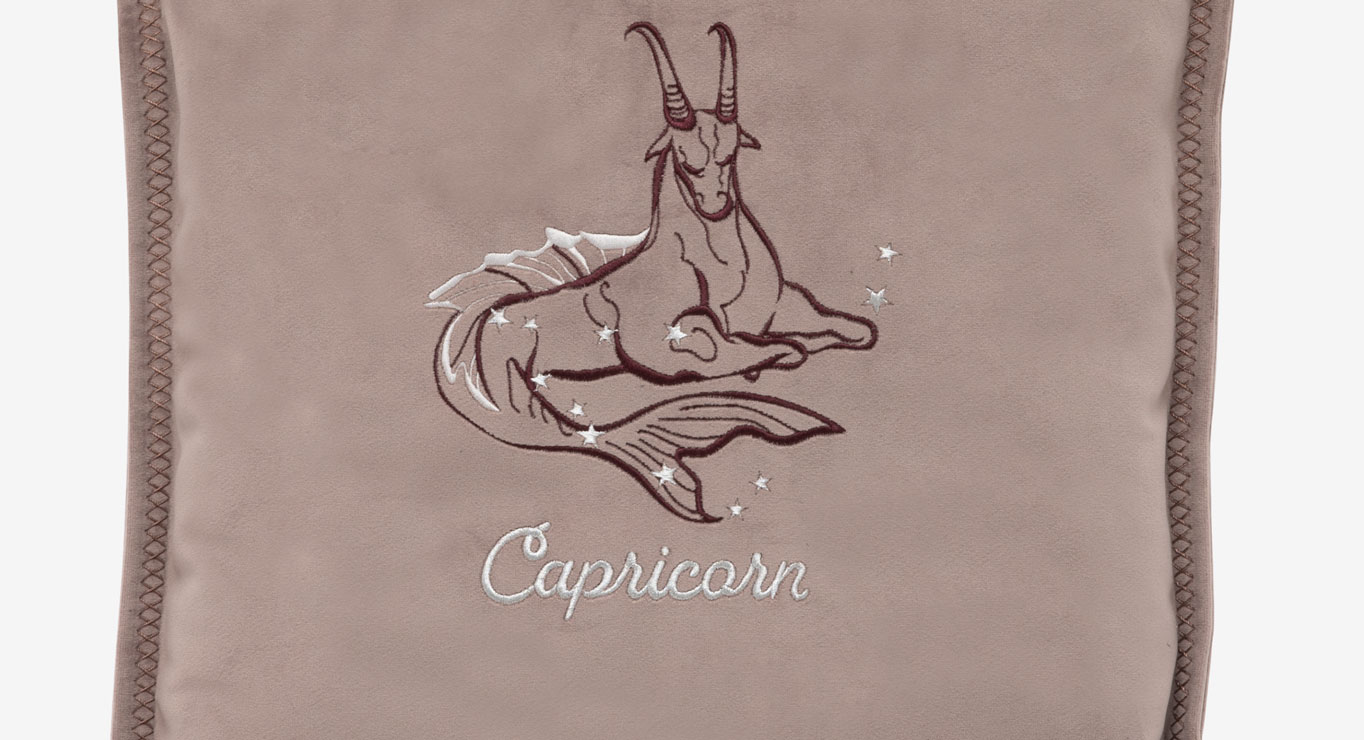 OŽIARAGIS pagalvėlė 450x450 2