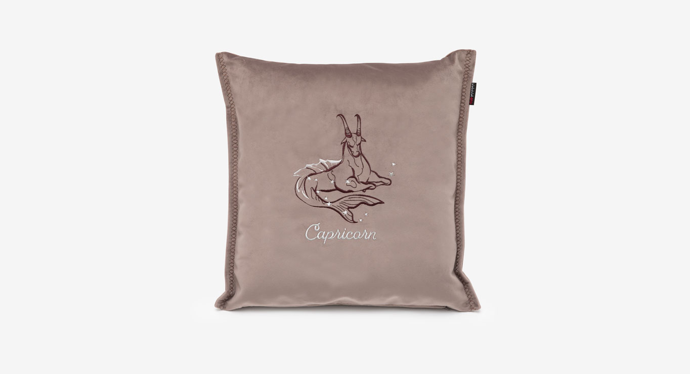 OŽIARAGIS pagalvėlė 450x450 1