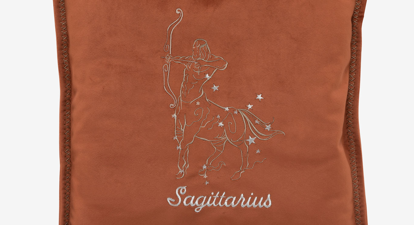 ŠAULYS pagalvėlė 450x450 paveiklėlis 2