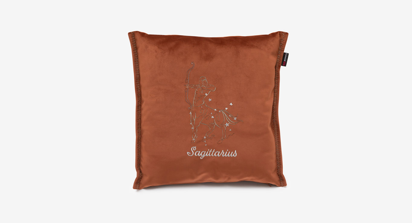 ŠAULYS pagalvėlė 450x450 paveiklėlis