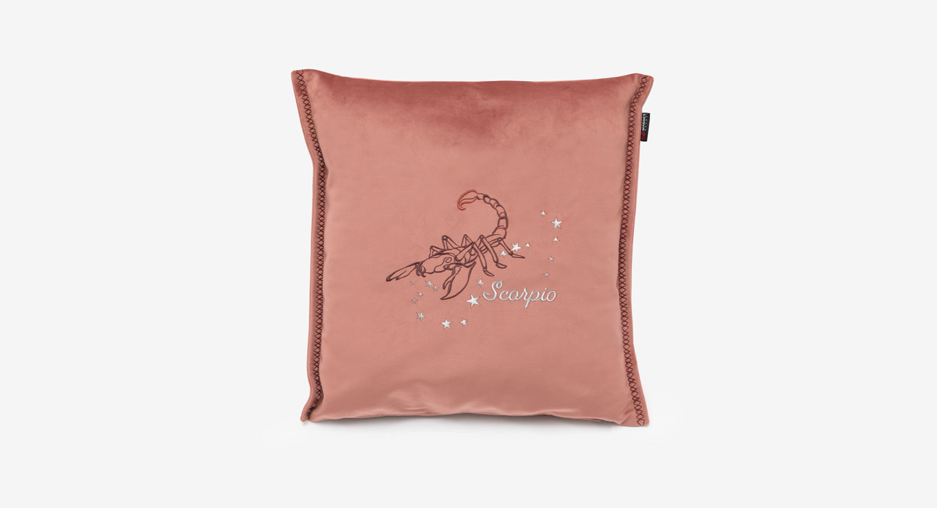 SKORPIONAS pagalvėlė 450x450 1