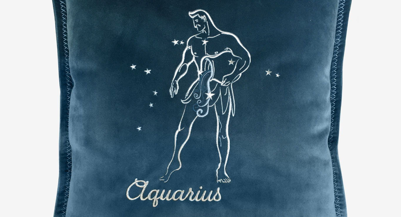 VANDENIS pagalvėlė 450x450 2