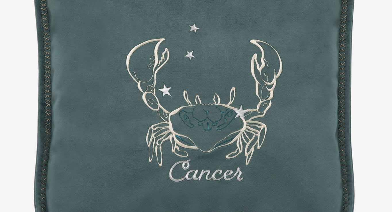 VĖŽYS pagalvėlė 450x450 2