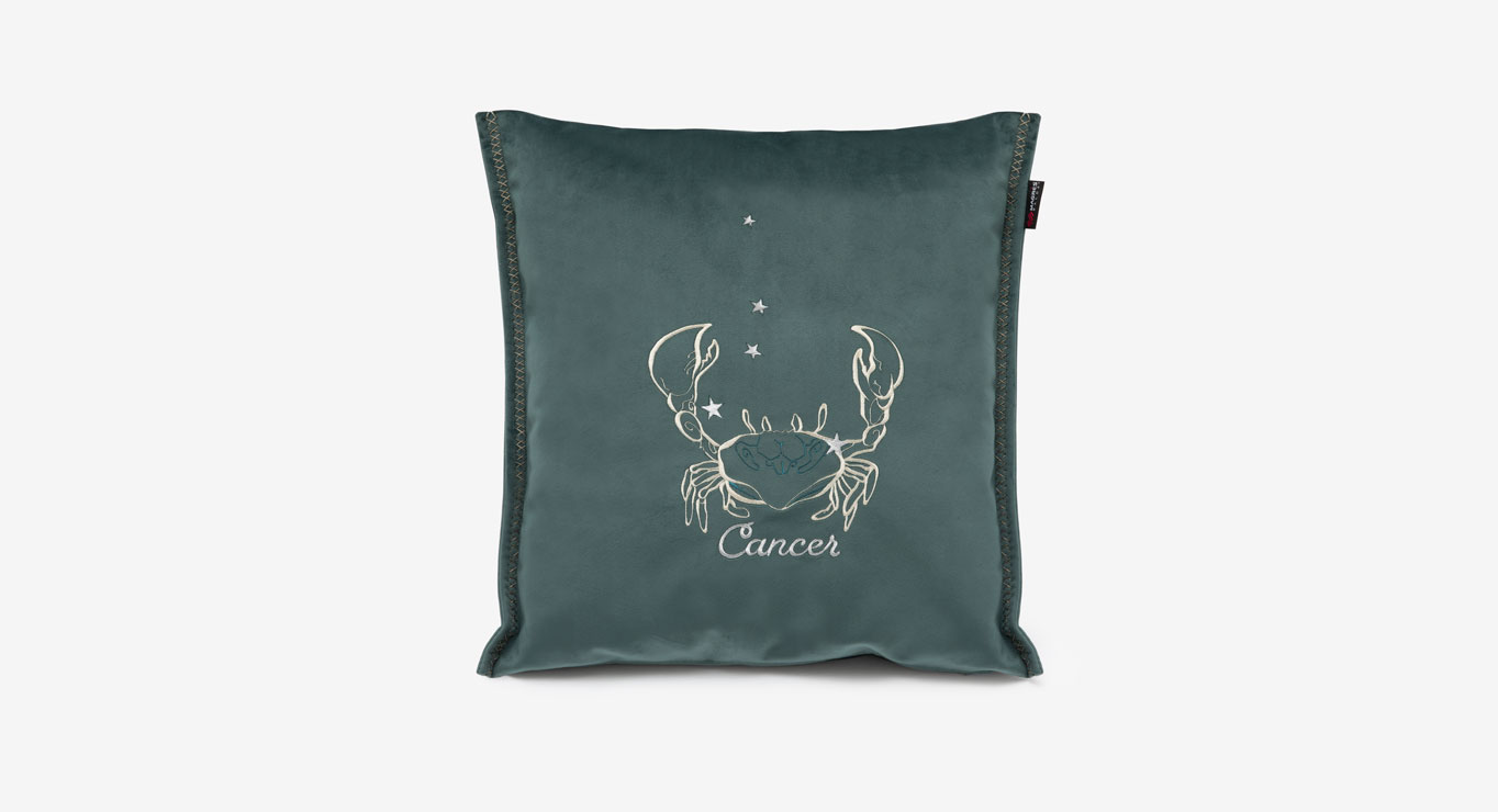 VĖŽYS pagalvėlė 450x450 1