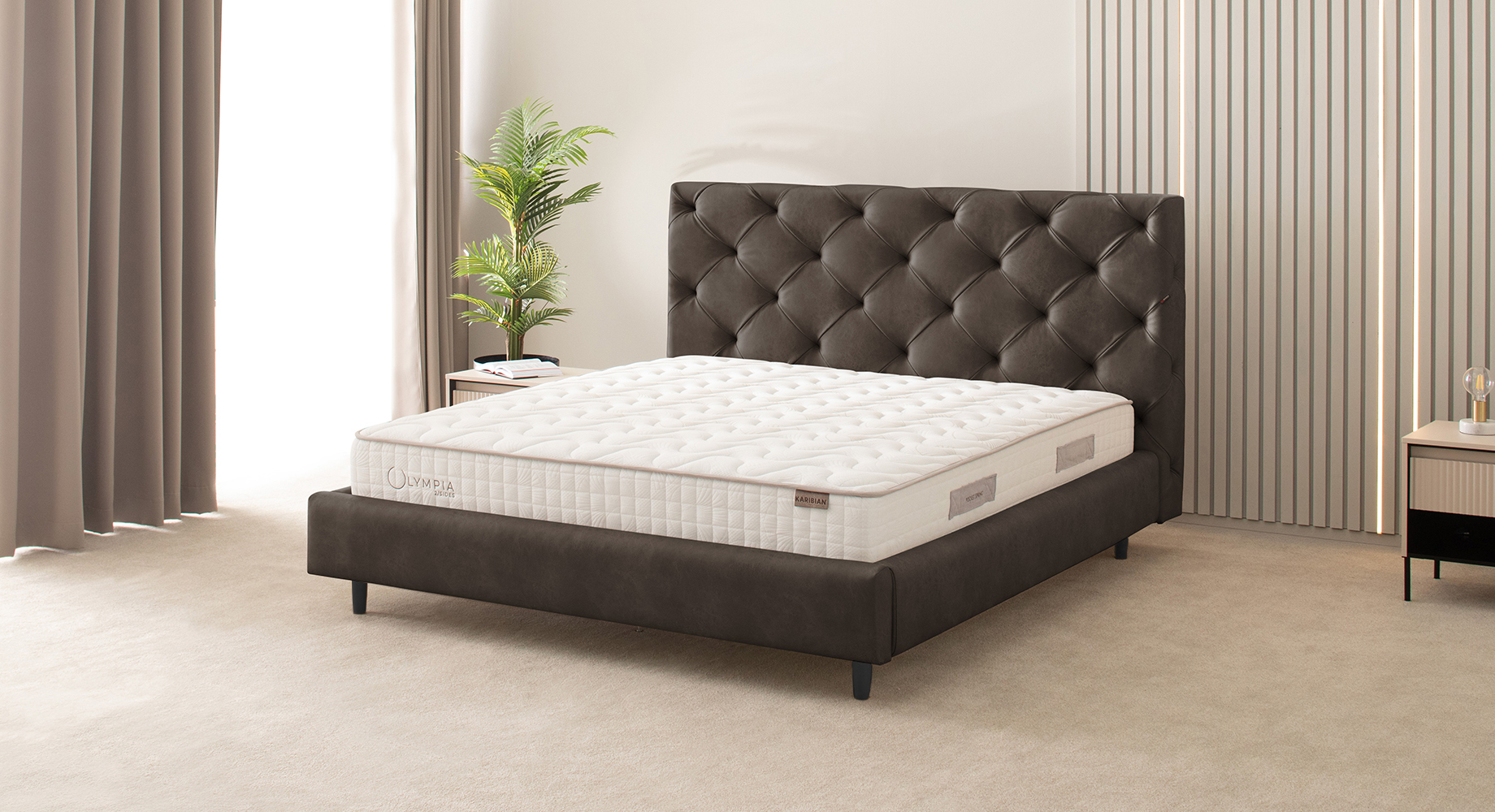 RIČI lova dvigulė 2300x1840 2