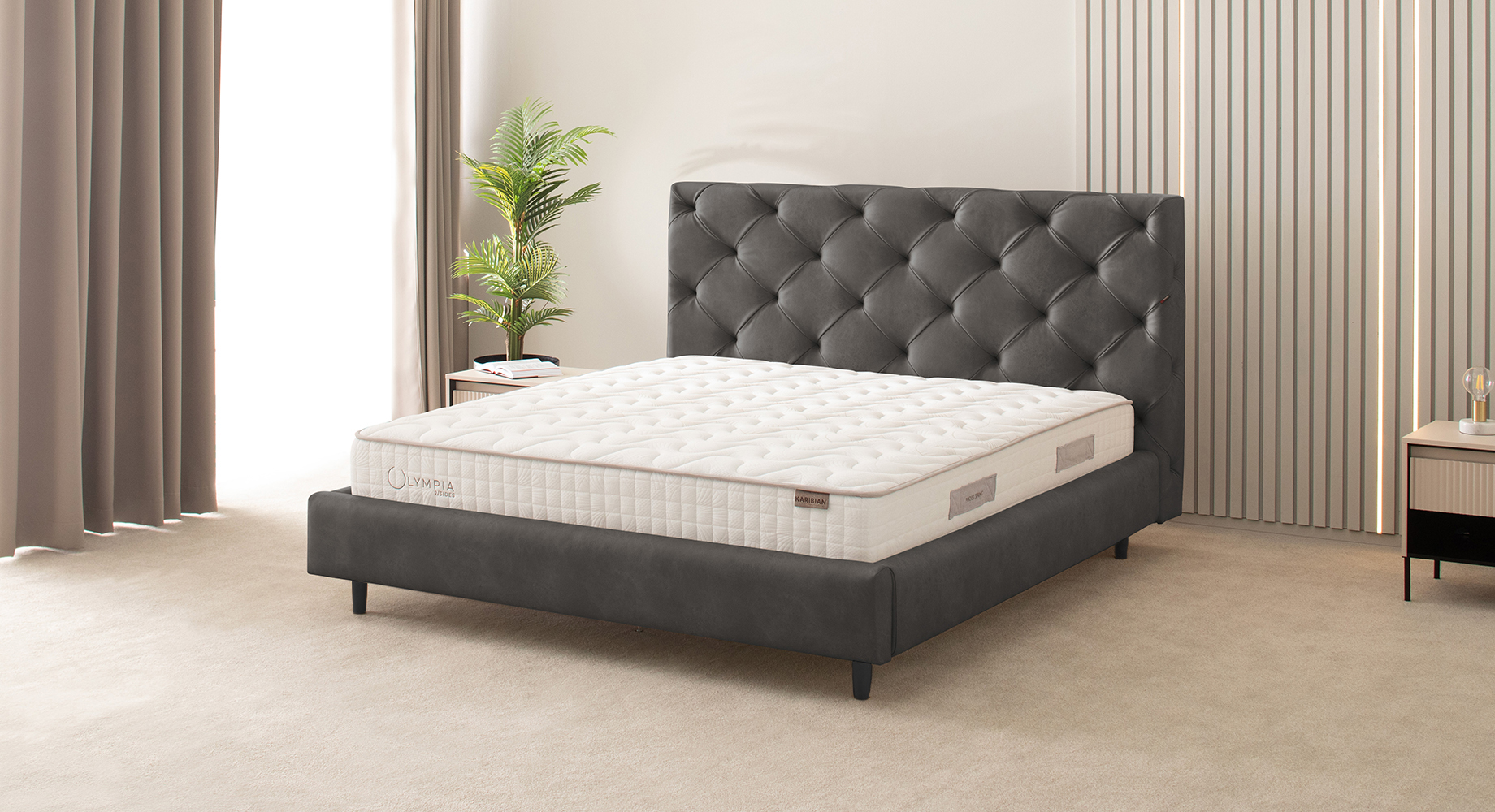 RIČI lova dvigulė 2300x1840 2