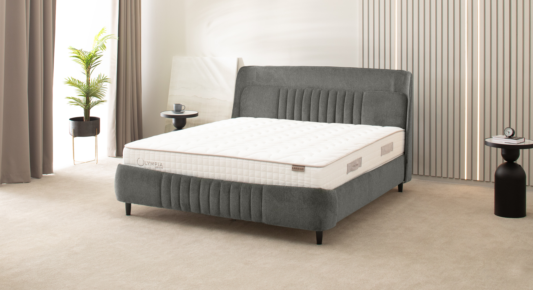 ROMA lova dvigulė 2210x1770 2