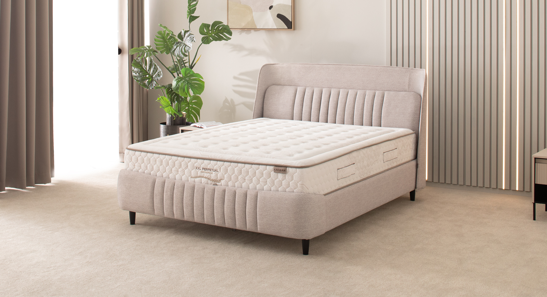 ROMA lova dvigulė 2210x1970 2