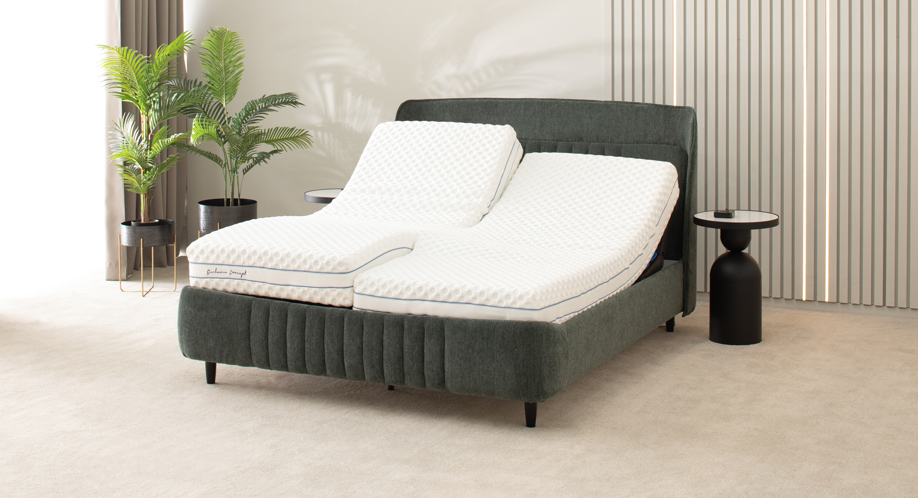 ROMA lova dvigulė automatinė 2210x1770 11 ROMA lova dvigulė automatinė 2210x1770 11