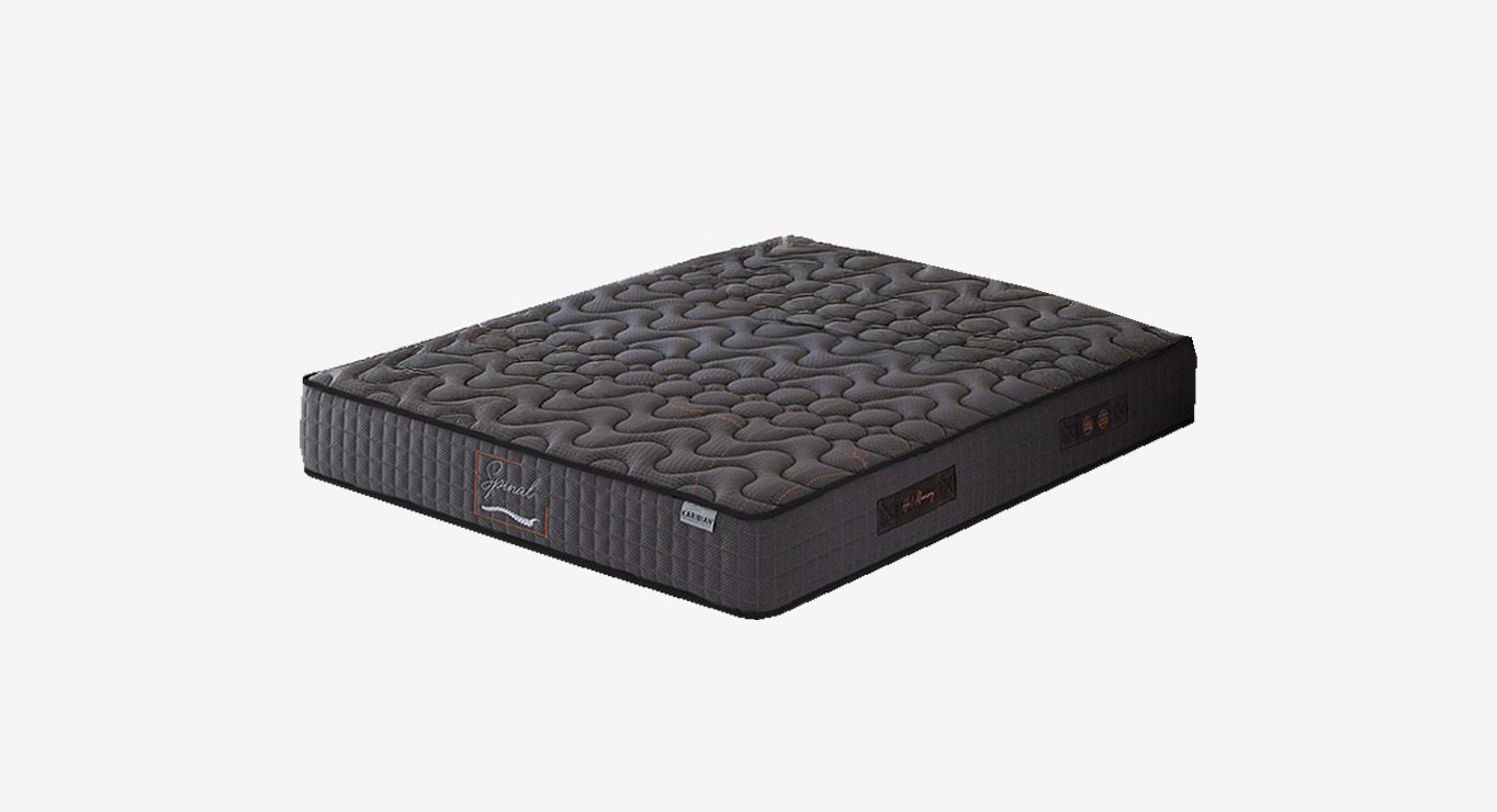 SPINAL V4 čiužinys 2000x2000x260 1