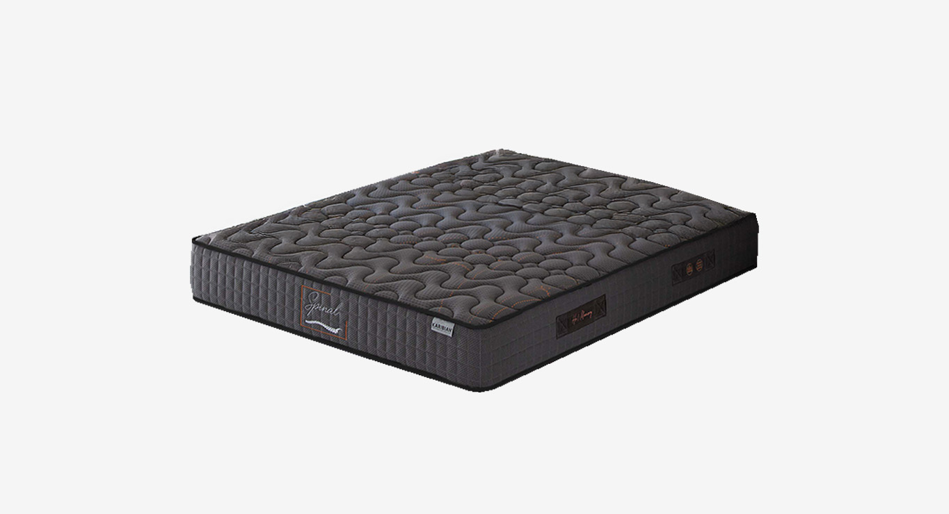 SPINAL V4 čiužinys 900x2000x260 1