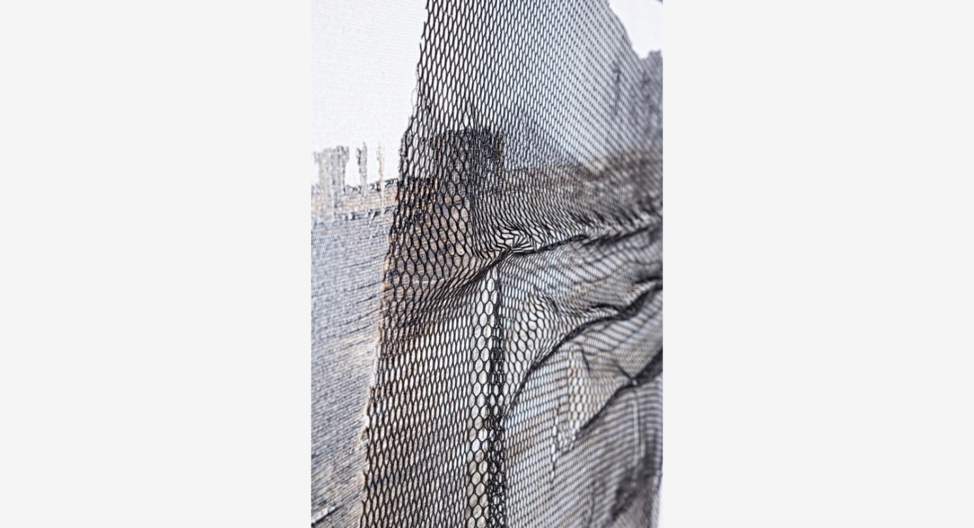 CROWN paveikslas su pilkais atspalviais 2