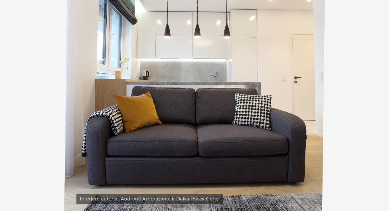 AMIGO sofa miegama 2-ų vietų 2 AMIGO sofa miegama 2-ų vietų 2