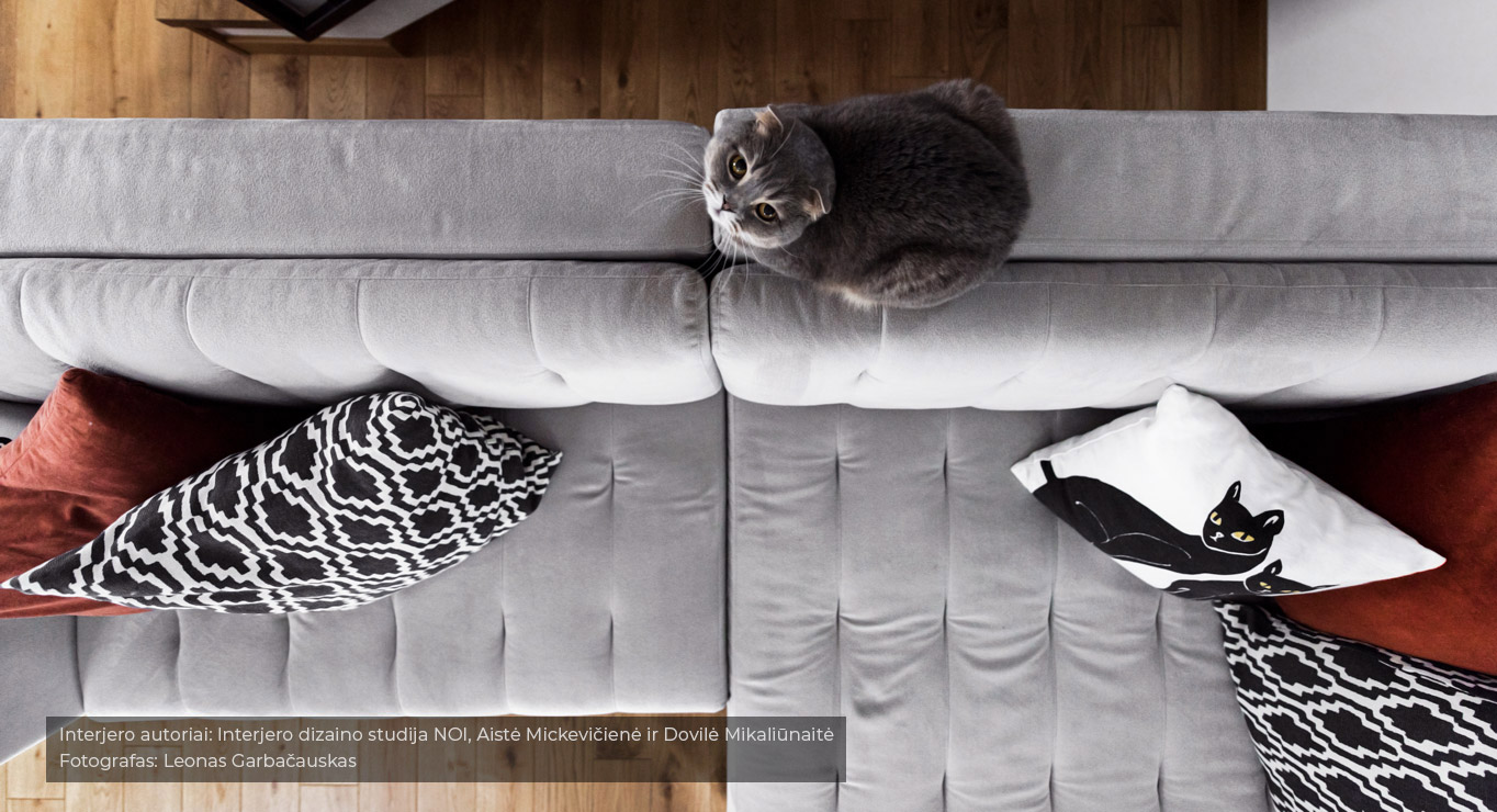 TITAN minkštas kampas miegamas A1 Skd 16