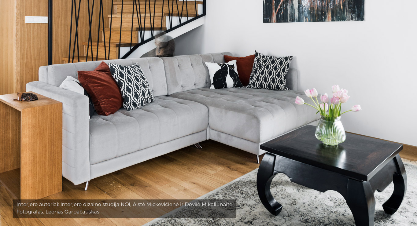 TITAN minkštas kampas miegamas A1 Skd 11