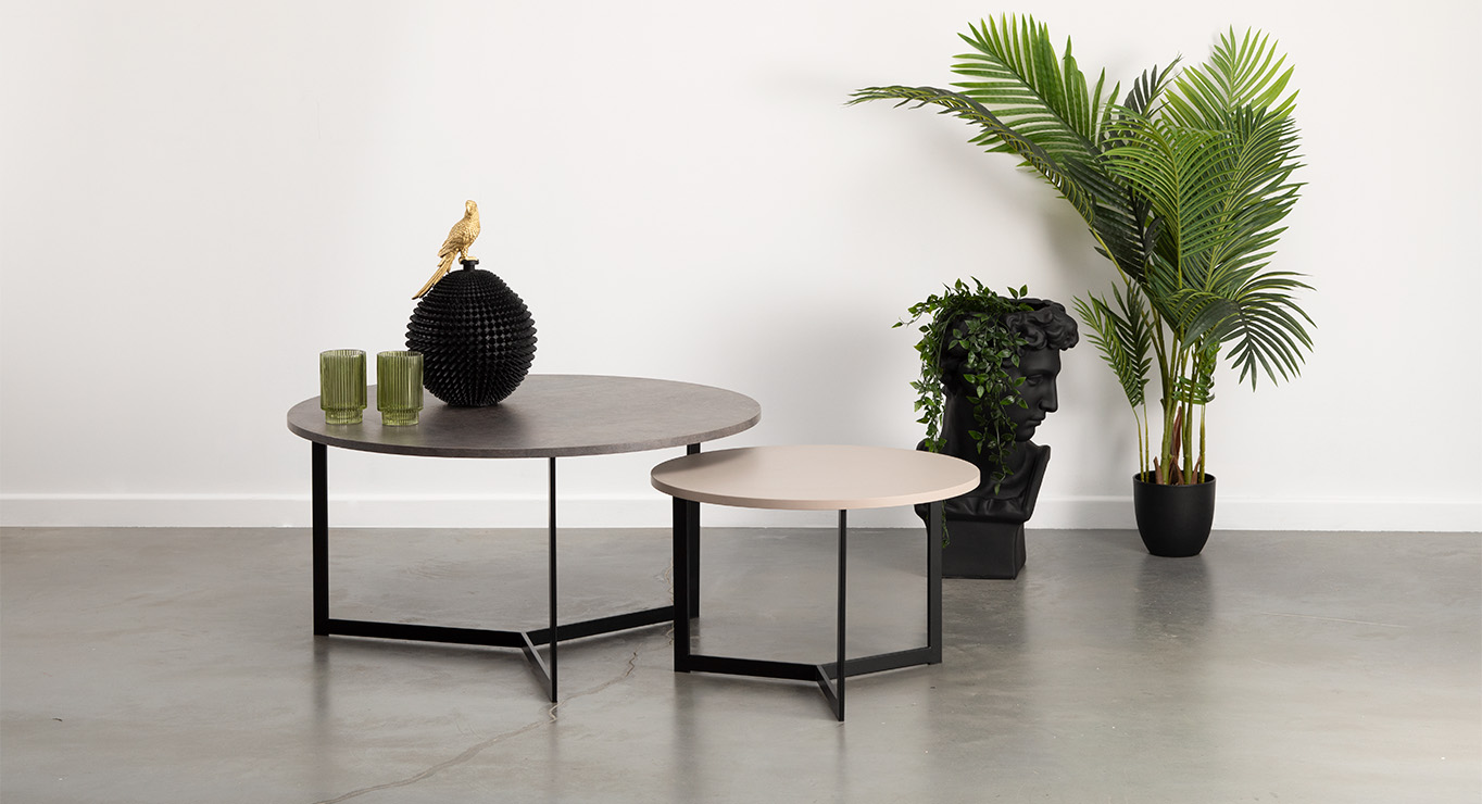 PARROT dekoratyvinė dėžutė 2