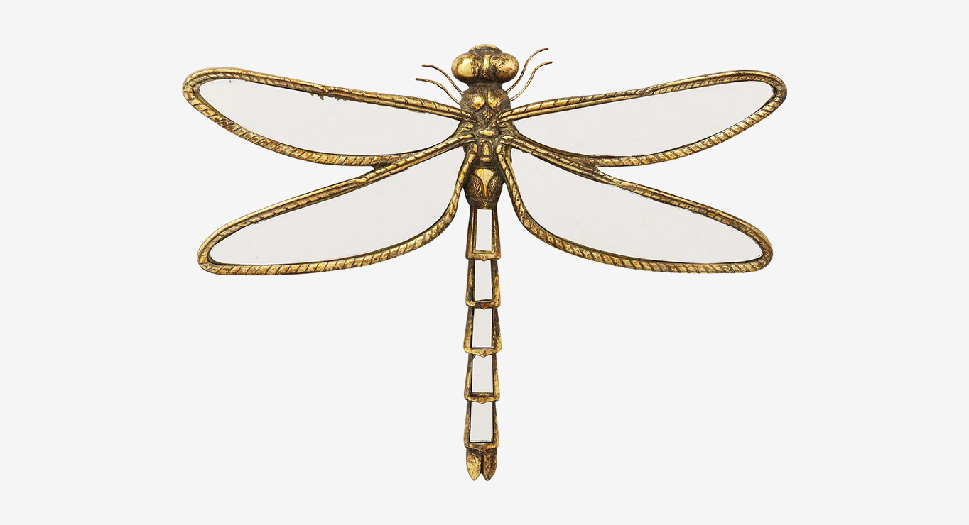 DRAGONFLY veidrodis 1