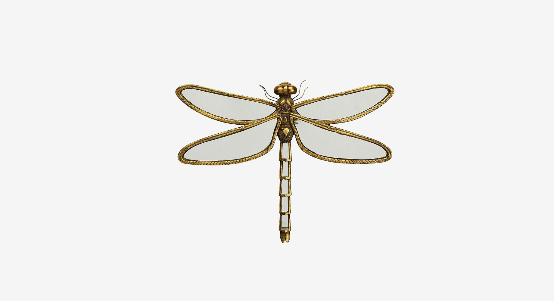 DRAGONFLY mažesnis veidrodis 1