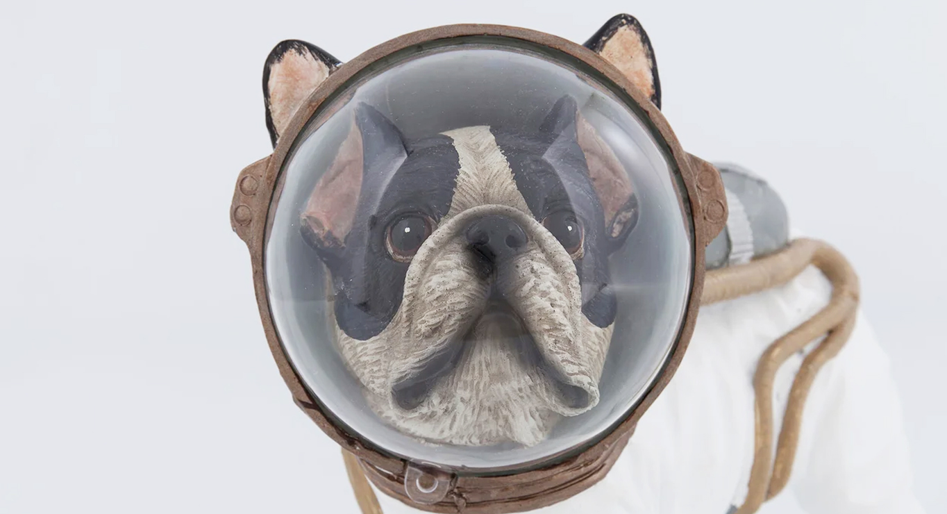 SPACE DOG figurėlė 3