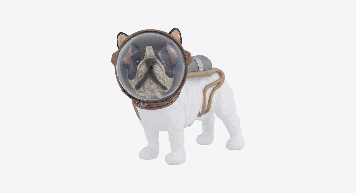 SPACE DOG figurėlė paveiklėlis