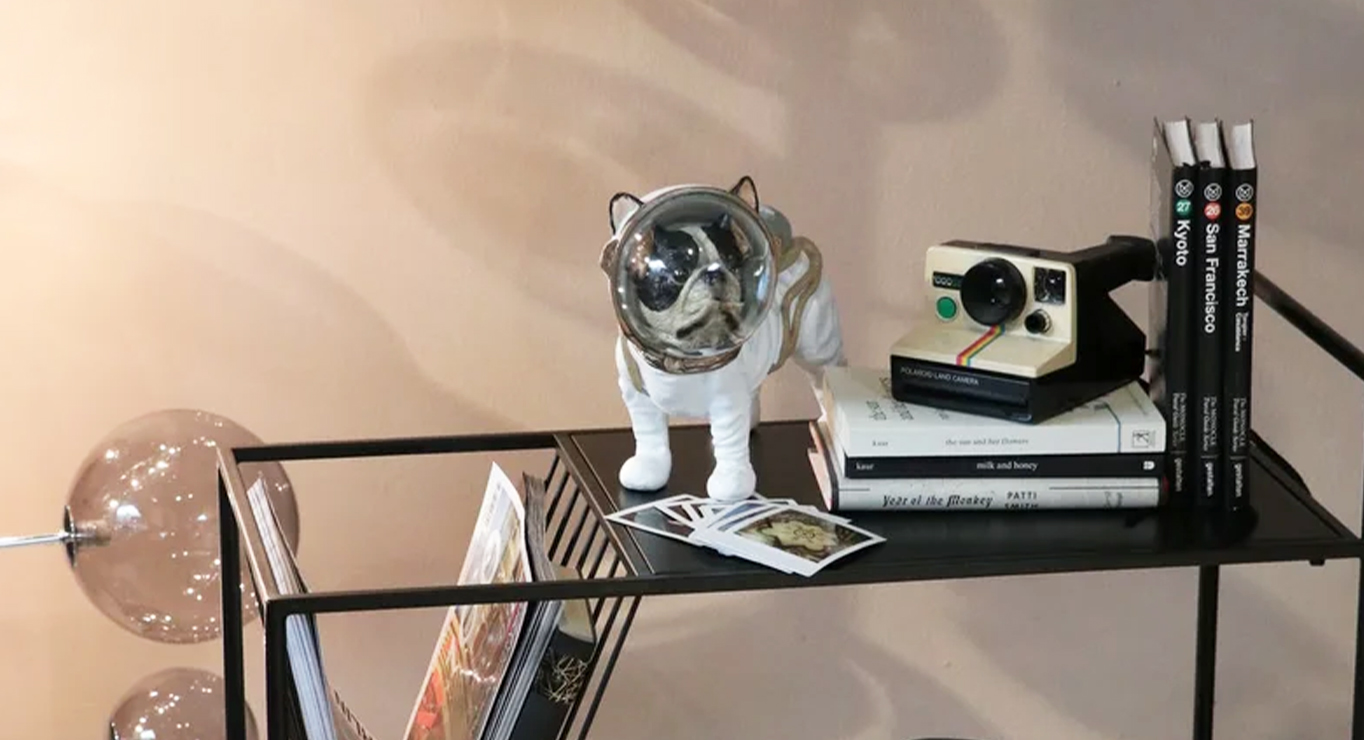 SPACE DOG figurėlė paveiklėlis 2