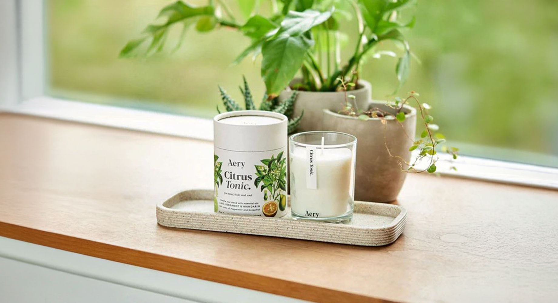 CITRUS TONIC žvakė  2