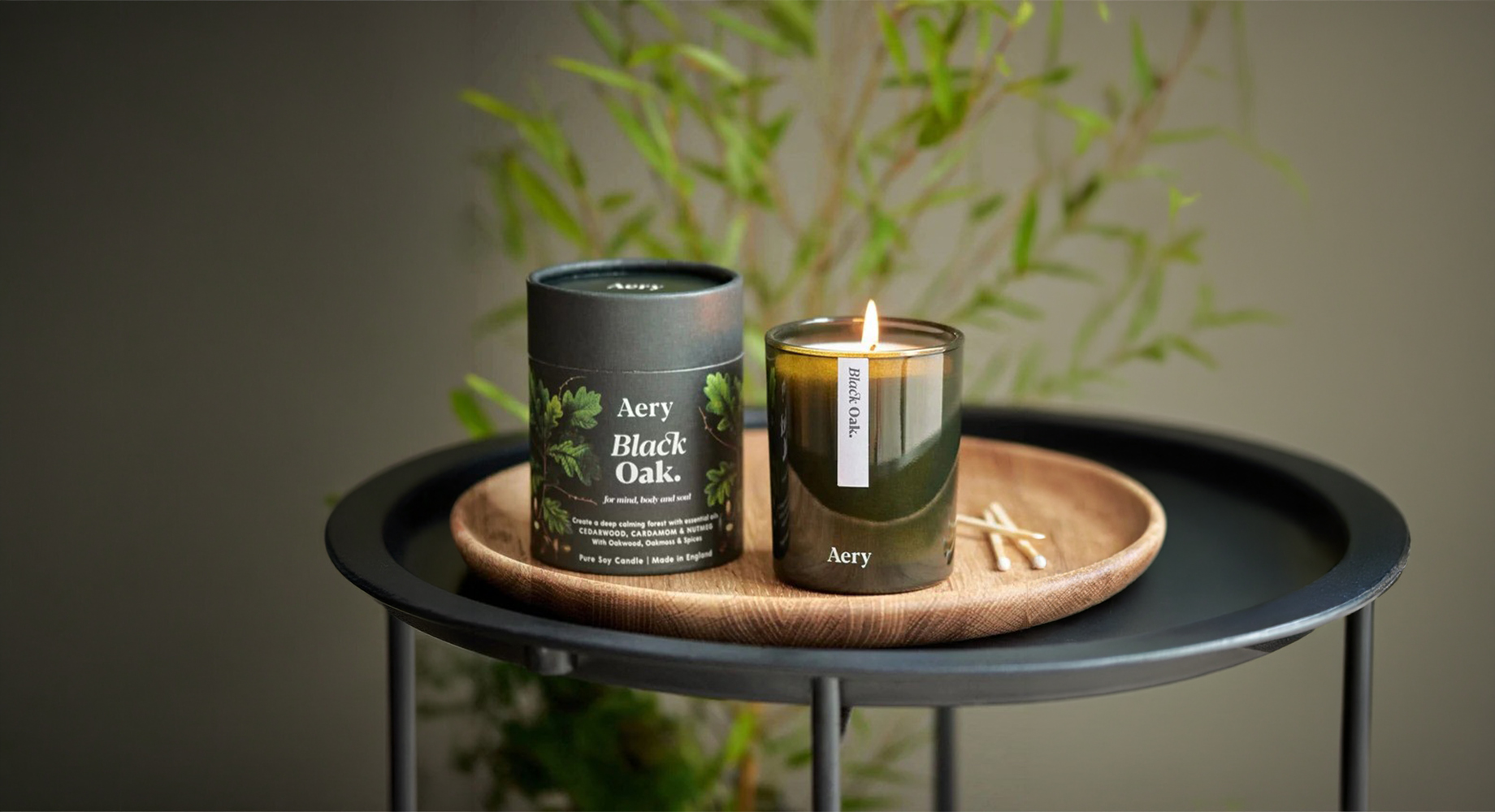 BLACK OAK žvakė  2